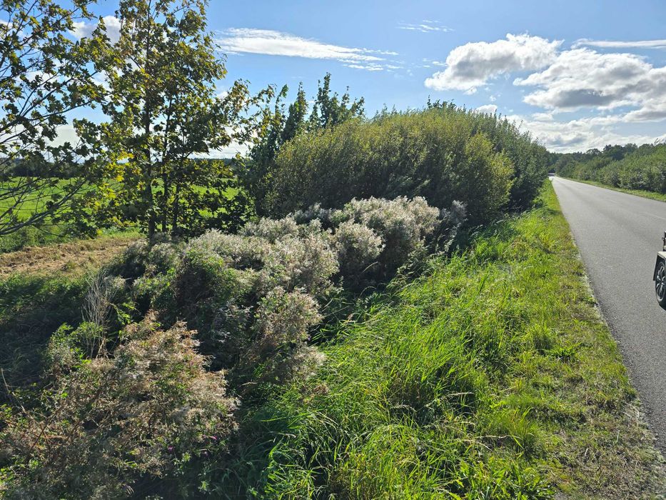 OKAZJA! 4km od Rewala i Morze, przy samej drodze 6,43 hektara OKAZJA!