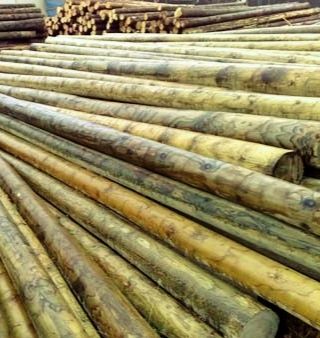 Дерев'яні опори ЛЕП