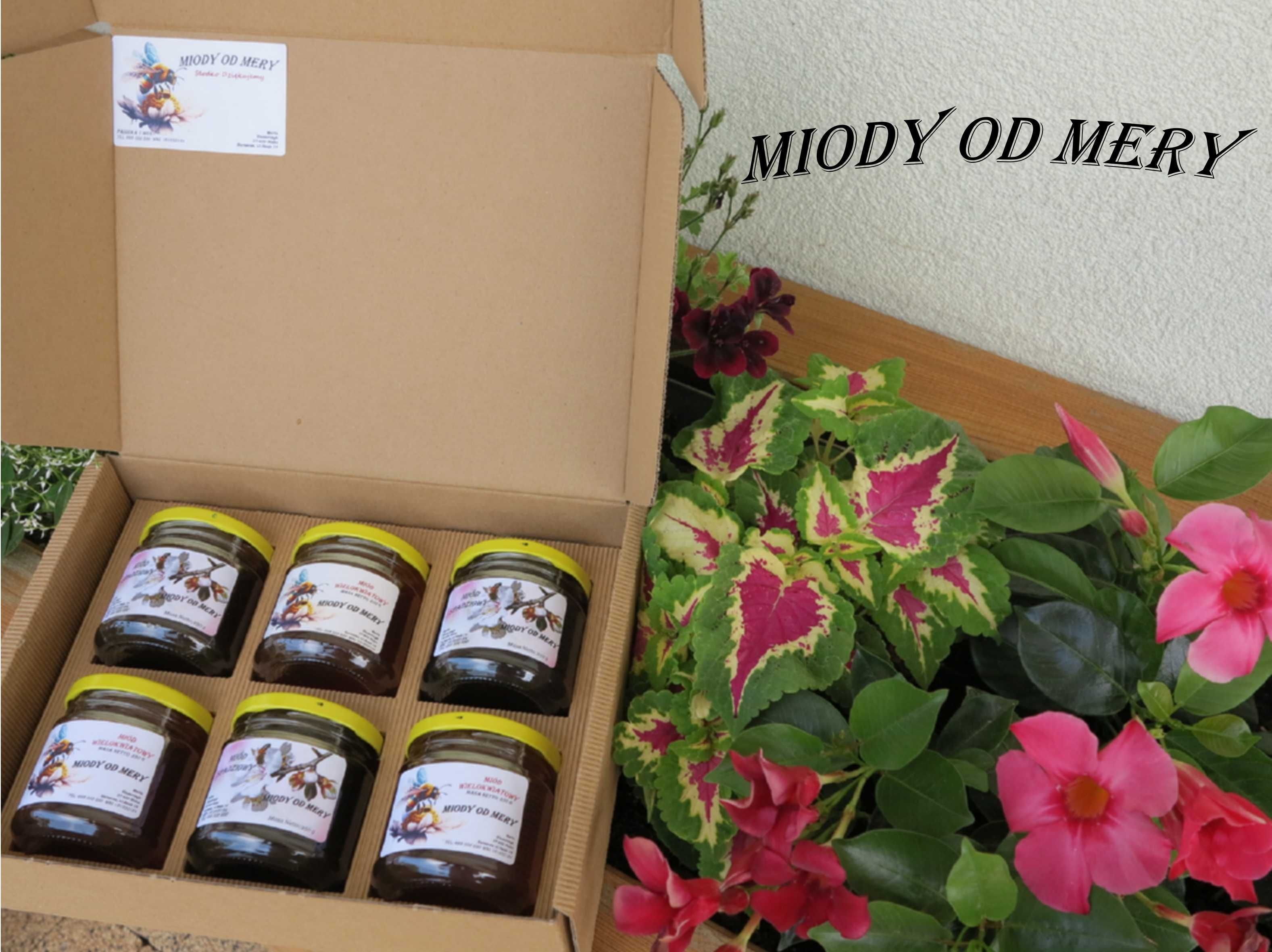 Zestaw Prezentowy Mini Mix 3 x50g Owocowe Degustacyjne Smaczki Miodowe