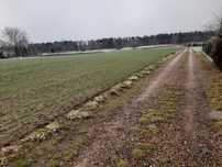Działka Pole  na sprzedaż 1,5 ha Pszczyna/Czarków  43-211