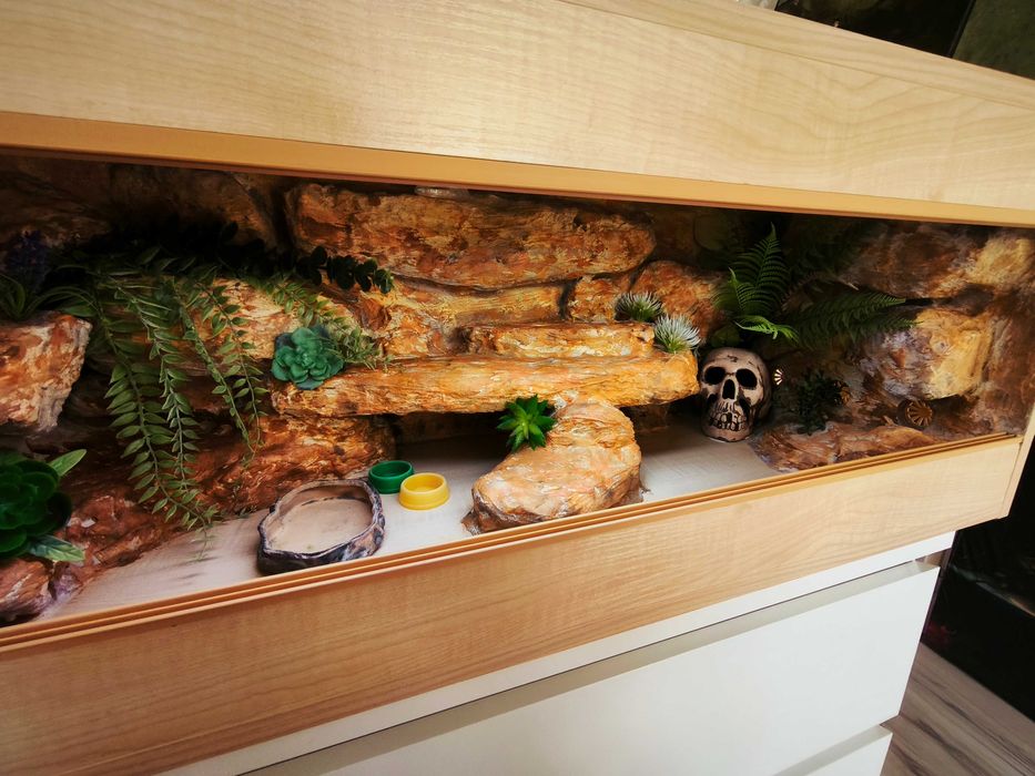 Terrarium agama terrarium pustynne 100x40x40 cały osprzęt