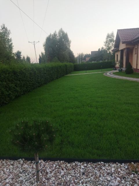 Ziemia pod trawnik ziemia ogrodowa humus real foto