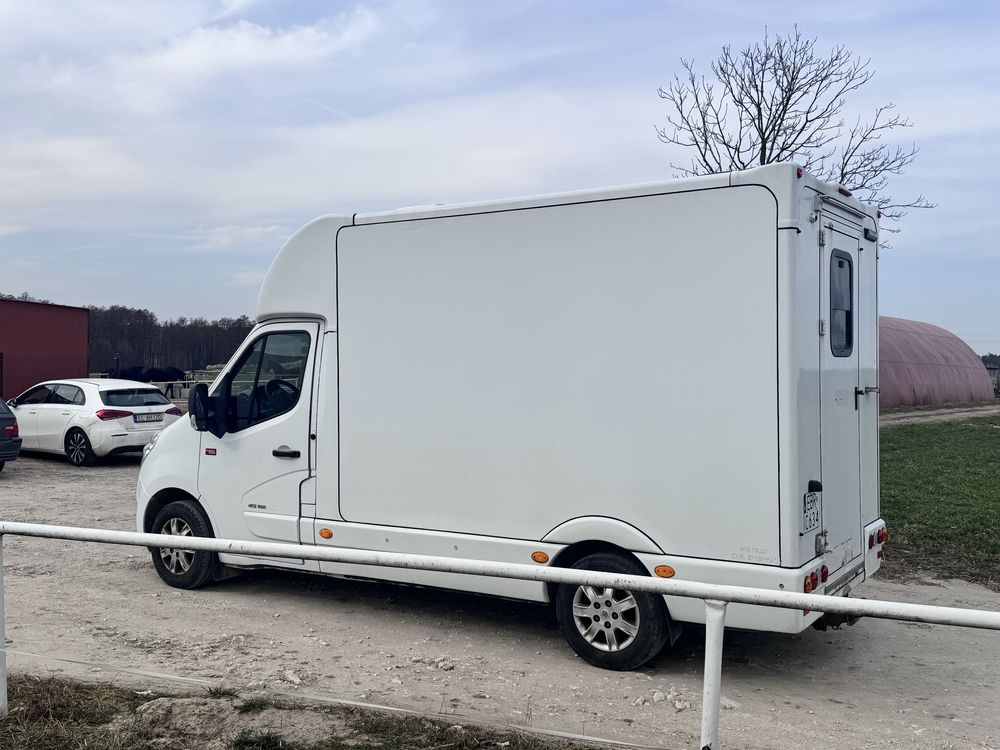 Renault Master koniowóz 2.3 diesel 165 KM do przewozu koni zwierzat FV
