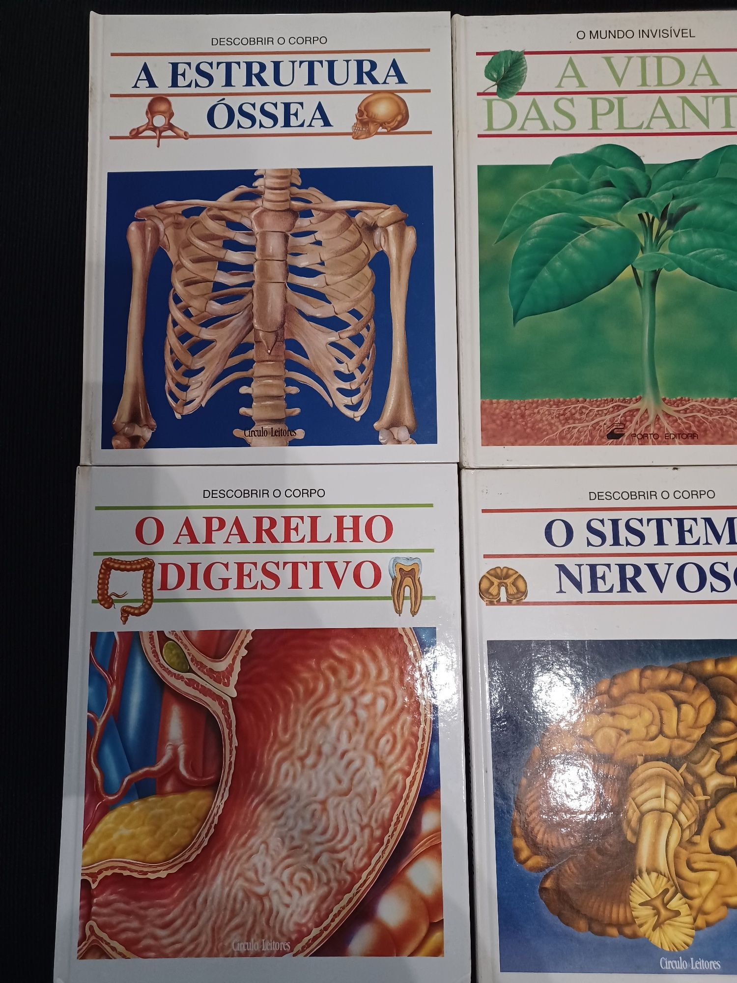 Coleção livros - Descobrir o corpo