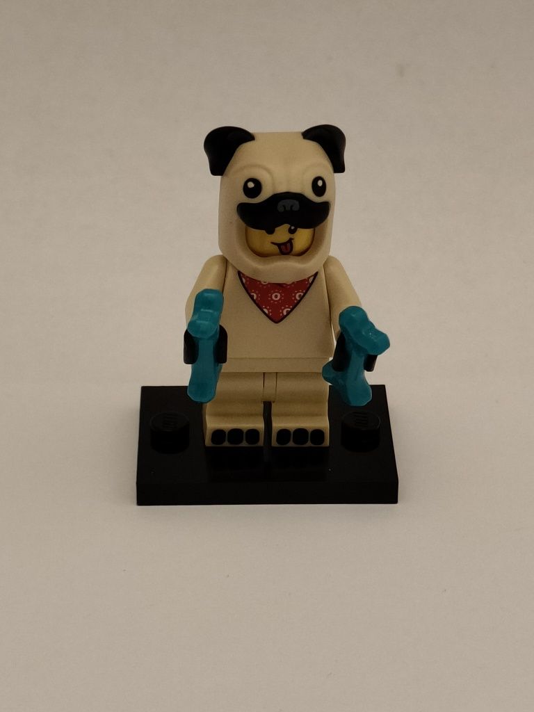 Minifigurka LEGO CMF 21 Mops