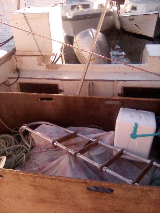 Barco de pesca profissional