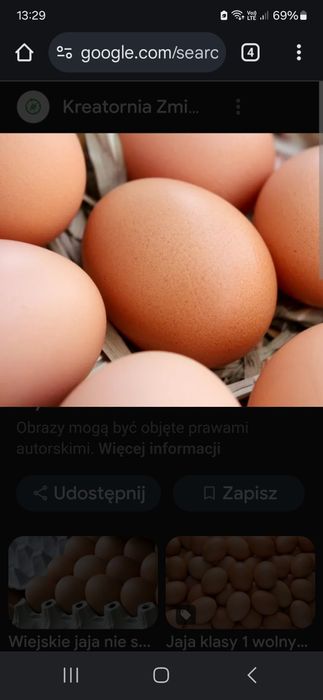 Jaja od kur z wolnego wybiegu