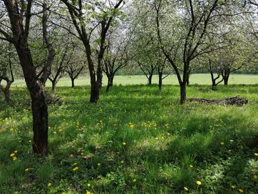 Sprzedam działki budowlane Mszczonów