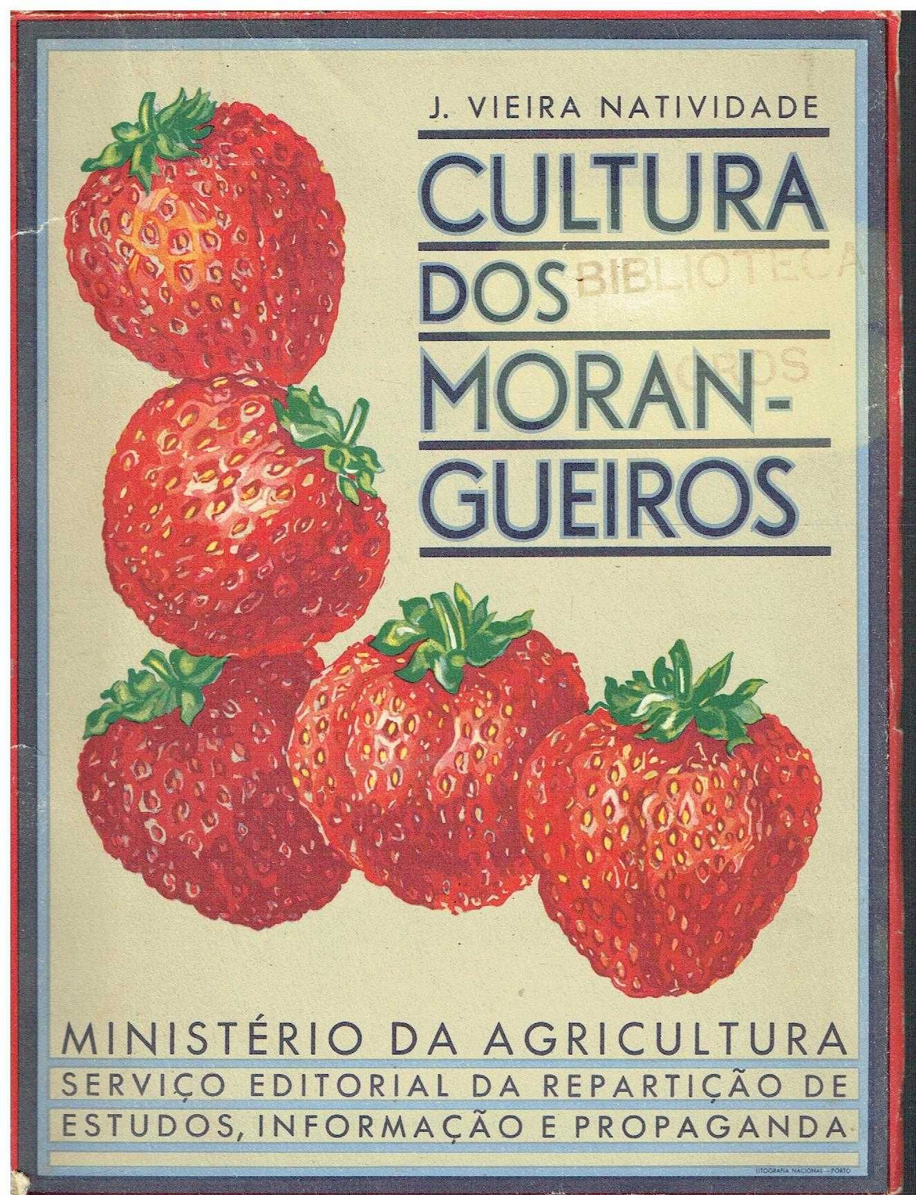 12972
	
Cultura dos morangueiros  
de J. Vieira Natividade.