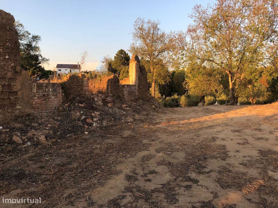 Terreno Com Ruina em Tomar
