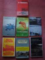 literatura portuguesa, estrangeira  e lusófona