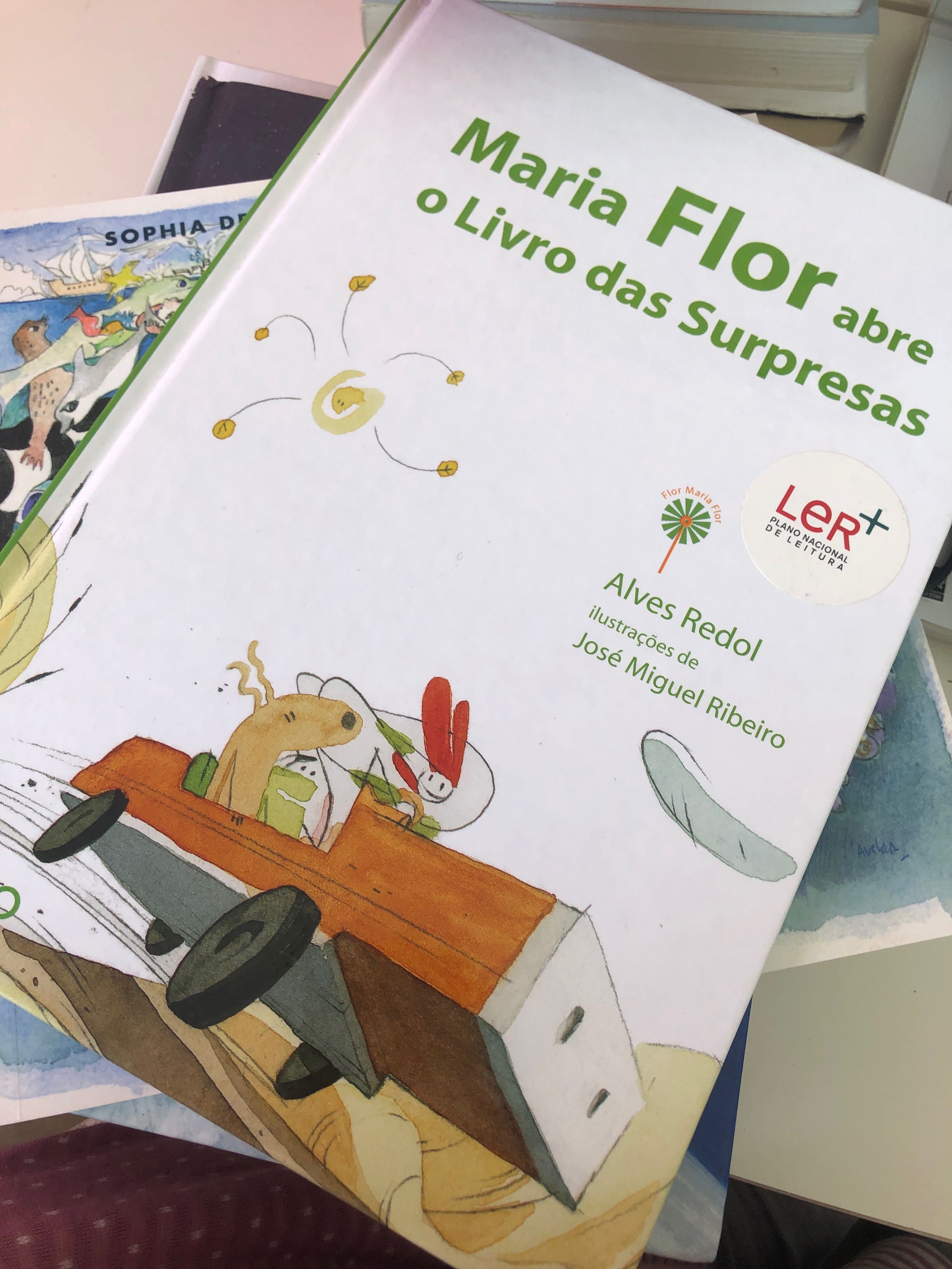 Livros infantis e juvenis diversos