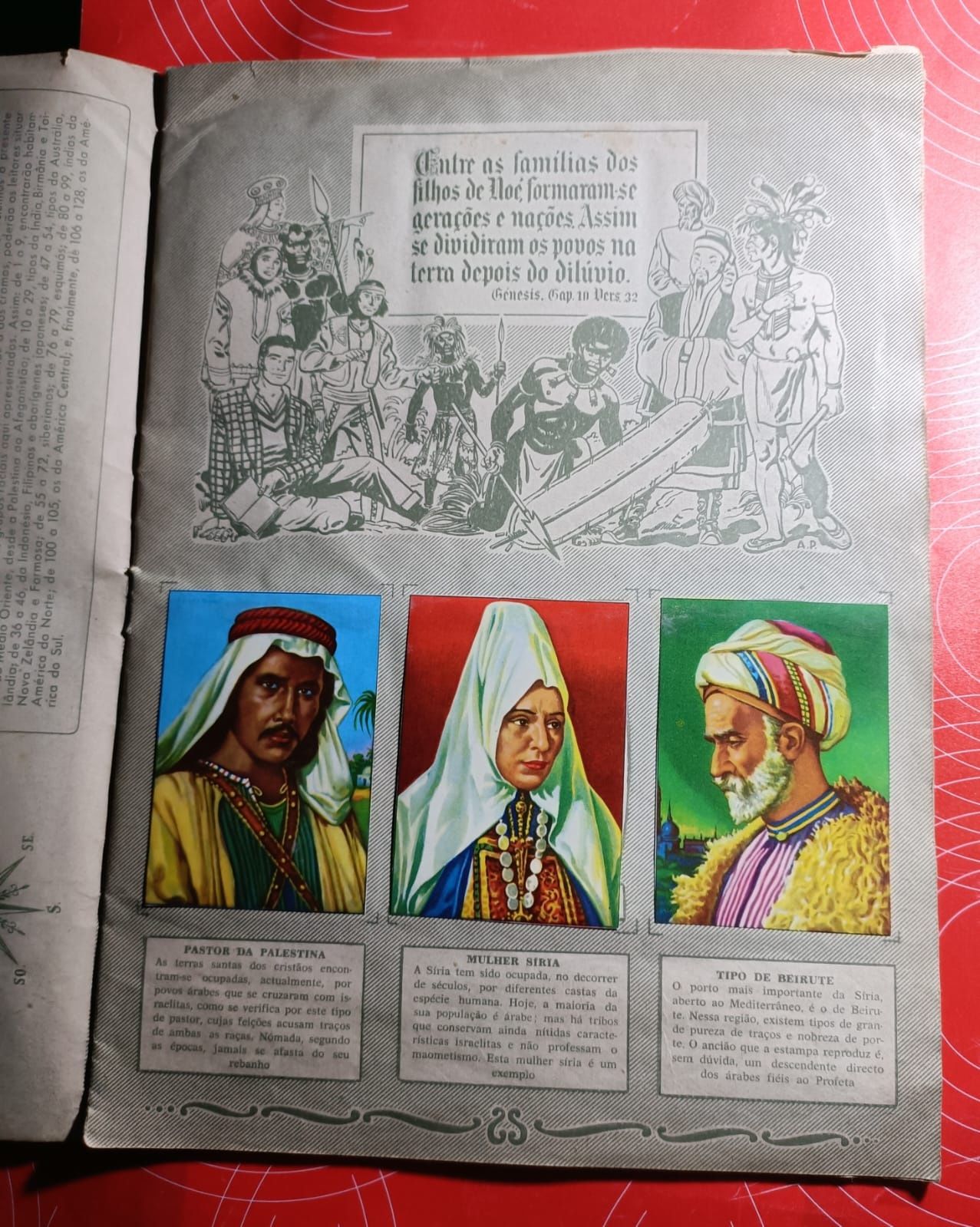 Raças Humanas 2^. série