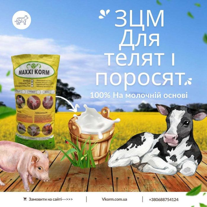 ЗЦМ для телят з 25 дня (25 кг)