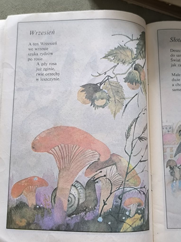 Dziadzio Mrok. Ewa Szelburg-Zarembina