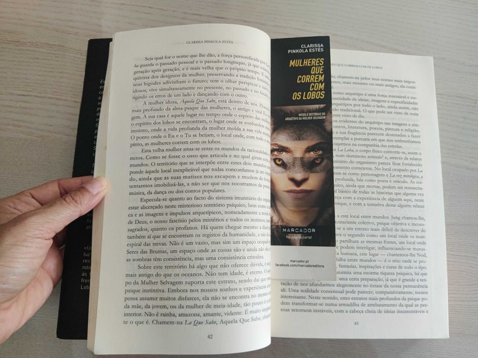 Livro "Mulheres que Correm com os Lobos"