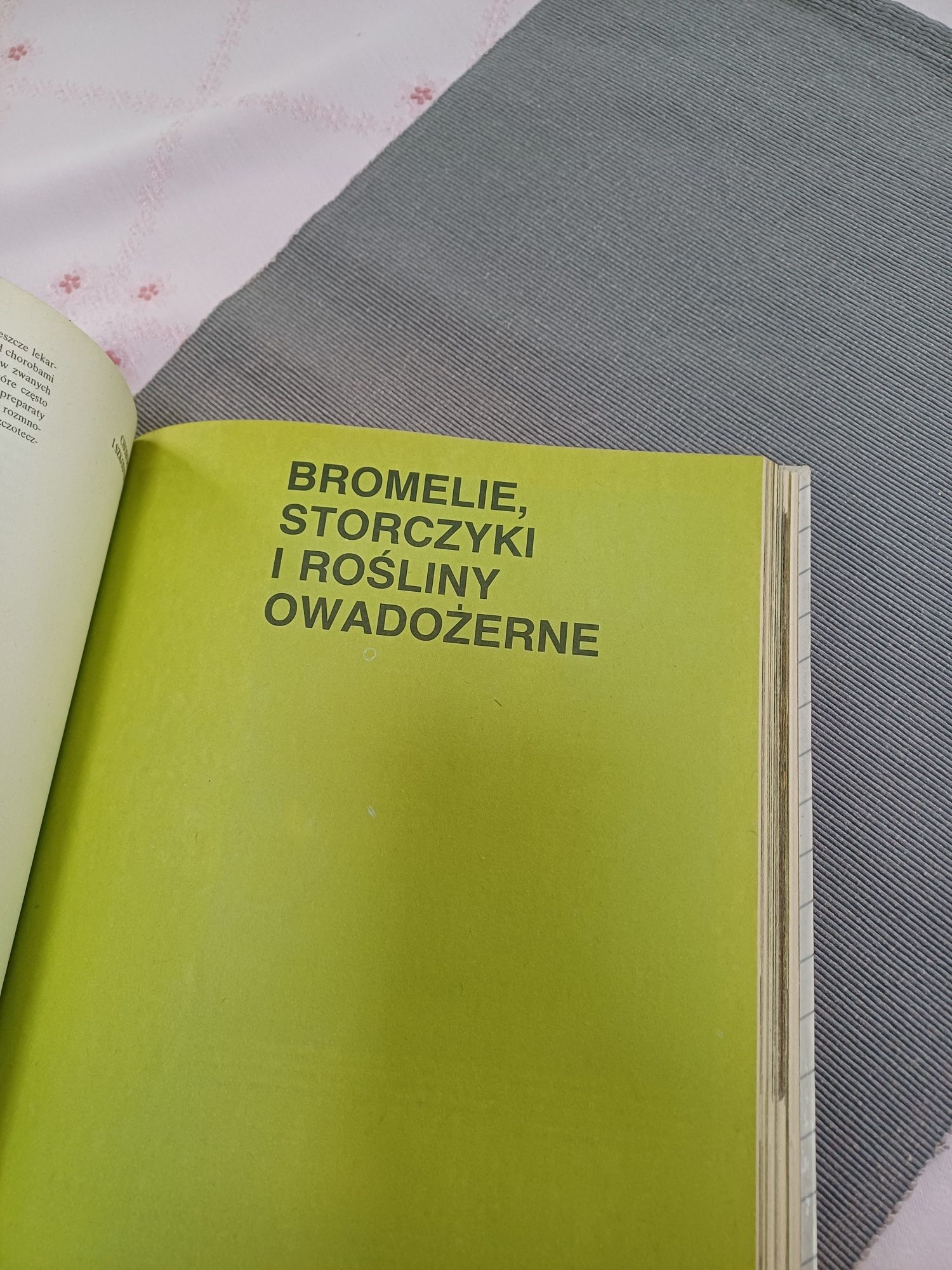 Książka że wskazówkami dla miłośników toslin