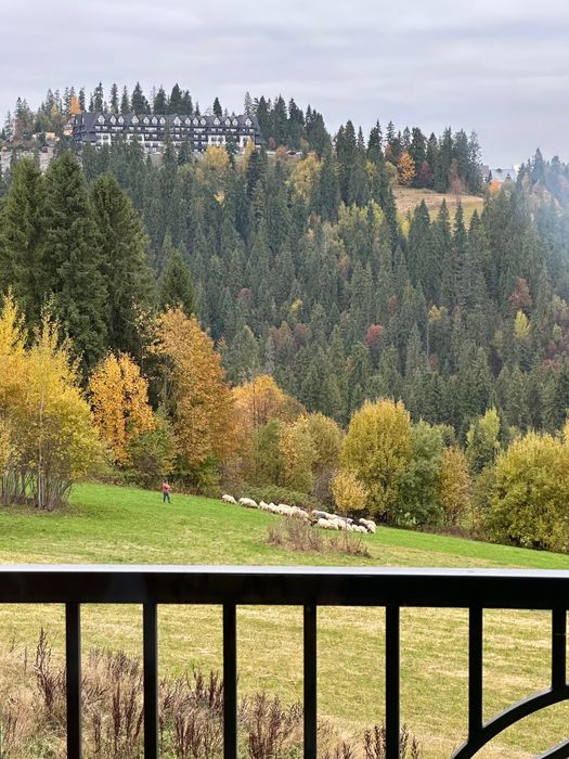 Domek w górach Tatry, Bukowina, Zakopane wolny 02.11,  Sylwester