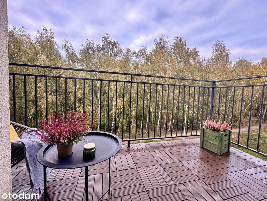 2- pokojowe z wyjątkowym widokiem na las