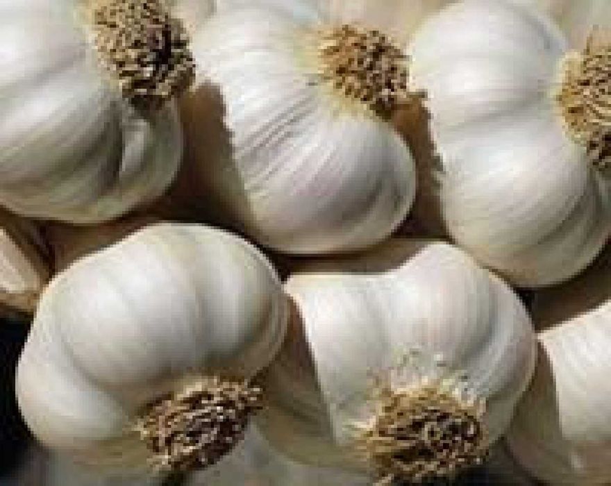 Червона для всіх .