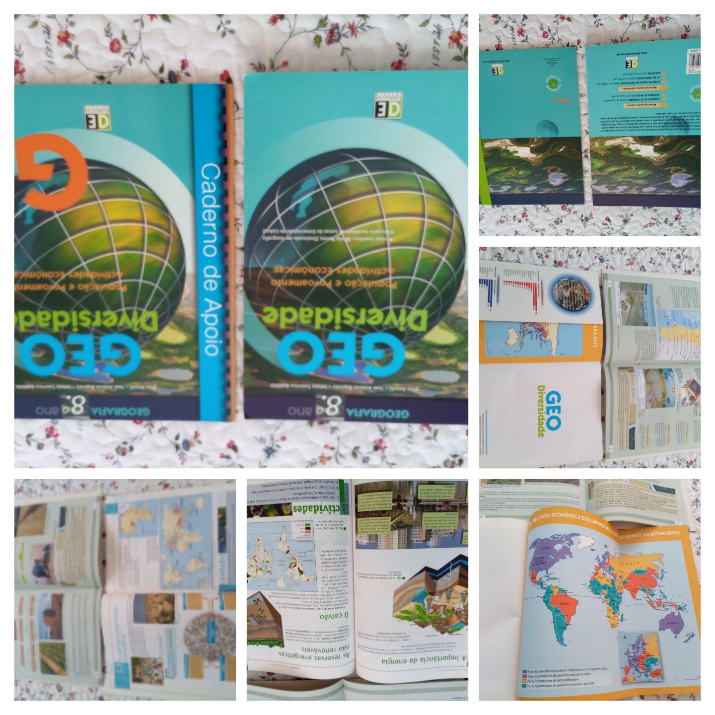 Livros de inglês/geografia 8° ano