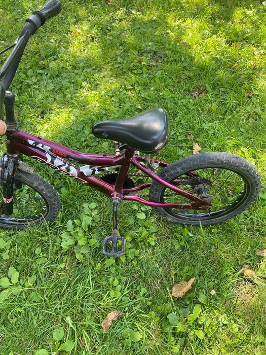 Дитячий велосипед Ardis