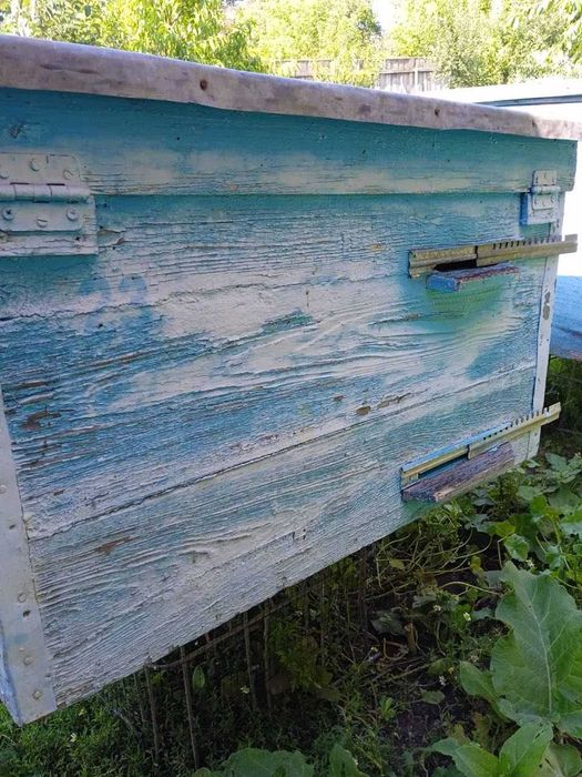 Продам вулики дадан