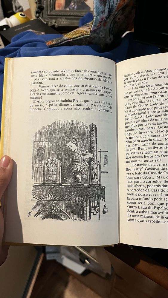livro alice do outro lado do espelho