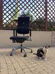 Fotel Biurowy Steelcase please