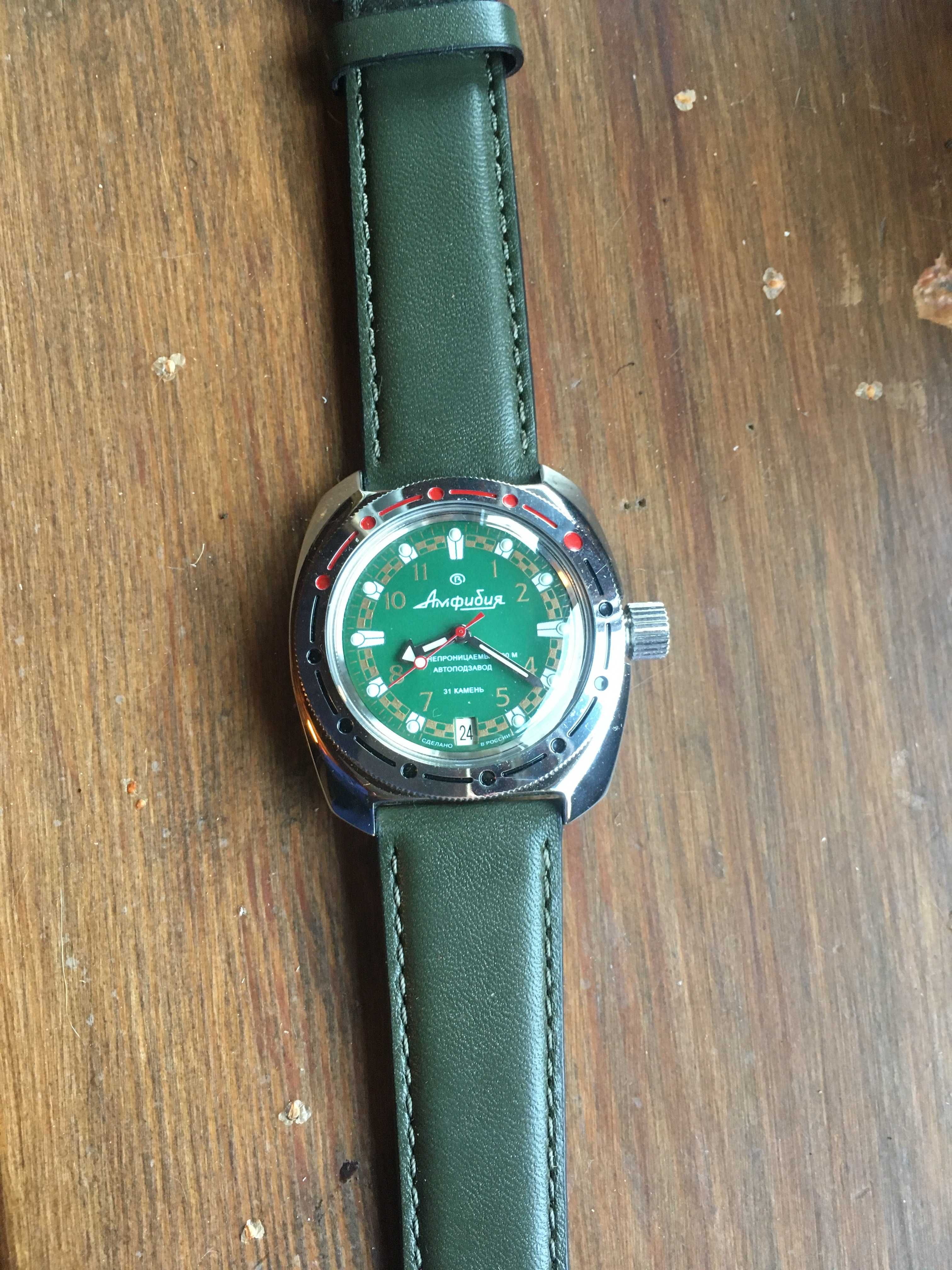 Amphibia zegarek