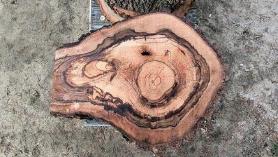 Okazja !!! Sprzedam plastry dębu i orzecha po planowaniu i suszarni