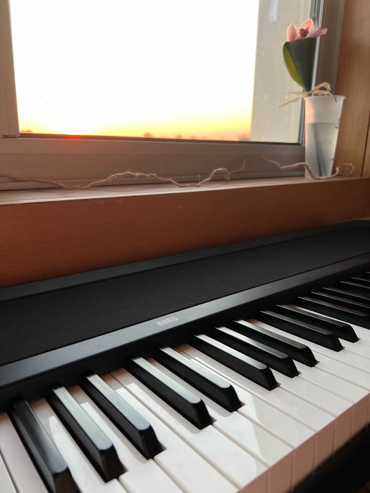 Korg B2 Digital Piano com pedal Korg PU-2