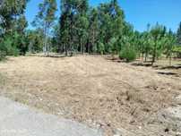 Terreno em Angeão de Vagos com uma frente de 30 metros