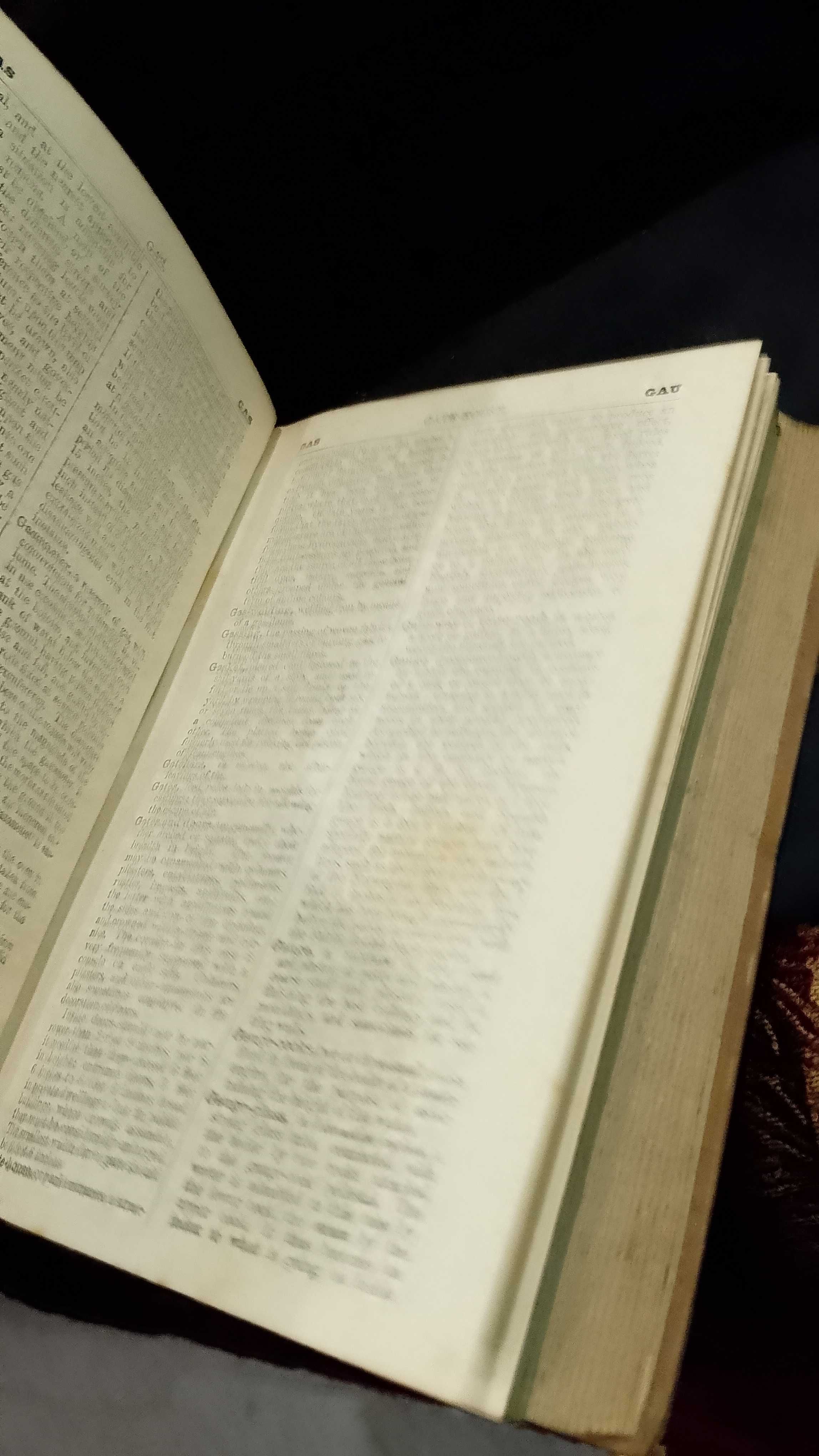 Dictionary of Terms - John Weale and Robert Hunt