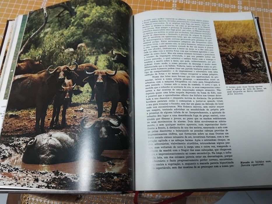 Enciclopédia A Fauna