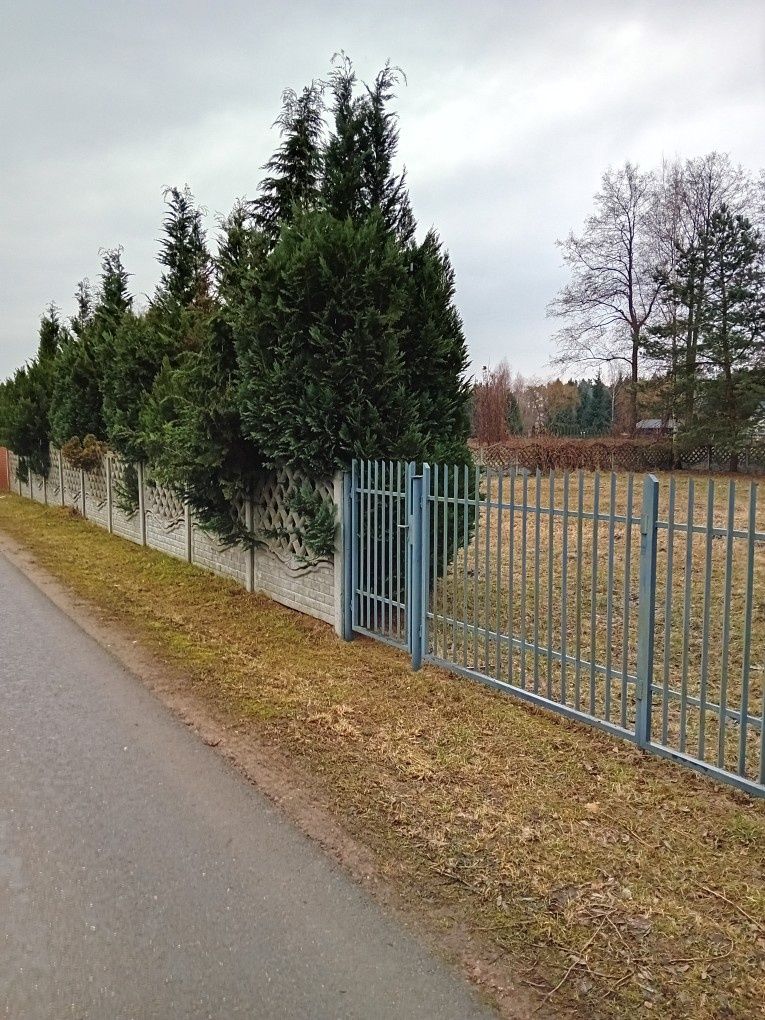Działka na sprzedaż Kolonia Brzeźce