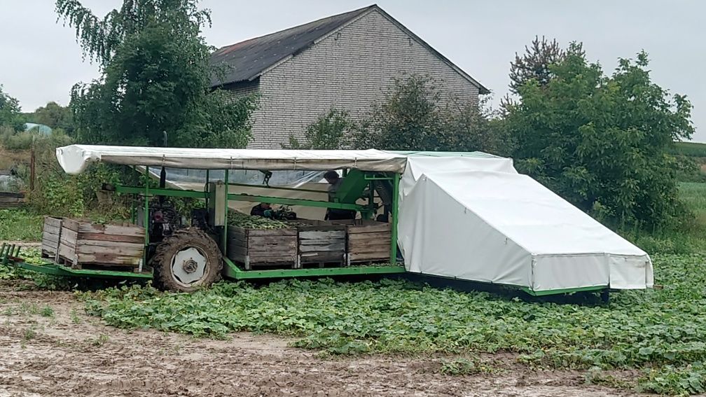 Samolot do zbioru ogórków samojezdny (platforma)kombajn