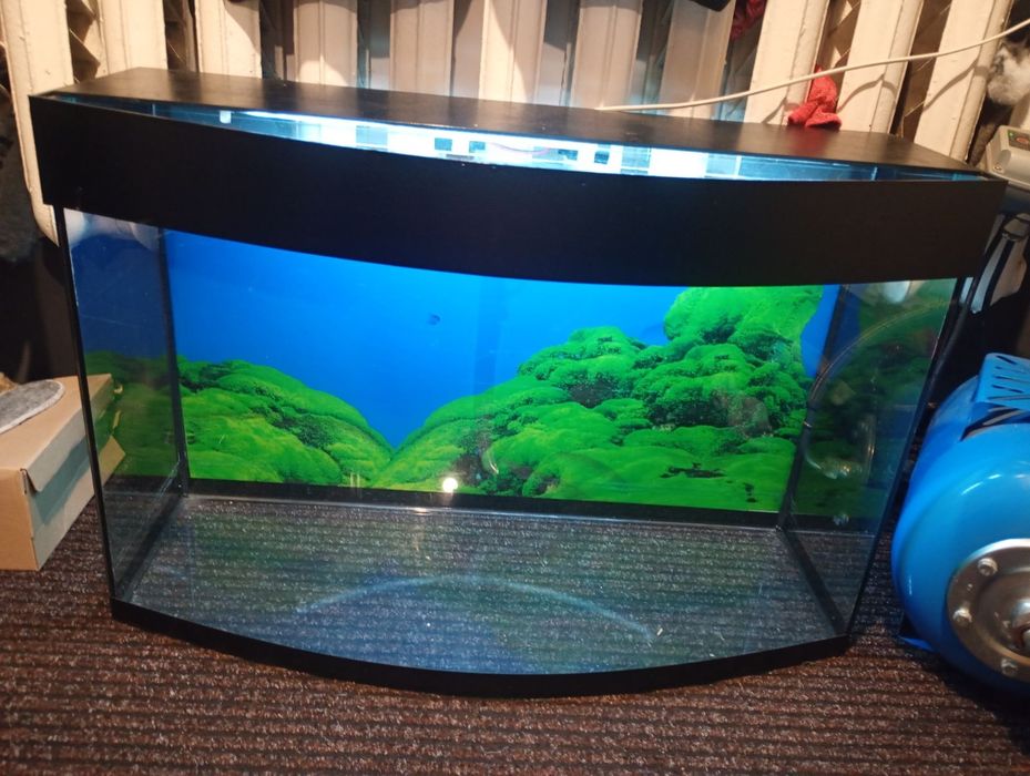 Акваріум 100 літрів