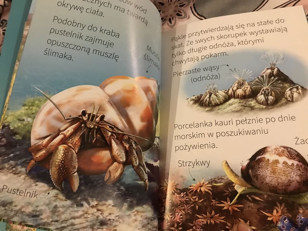 Wybrzeże Młodzi Przyrodnicy