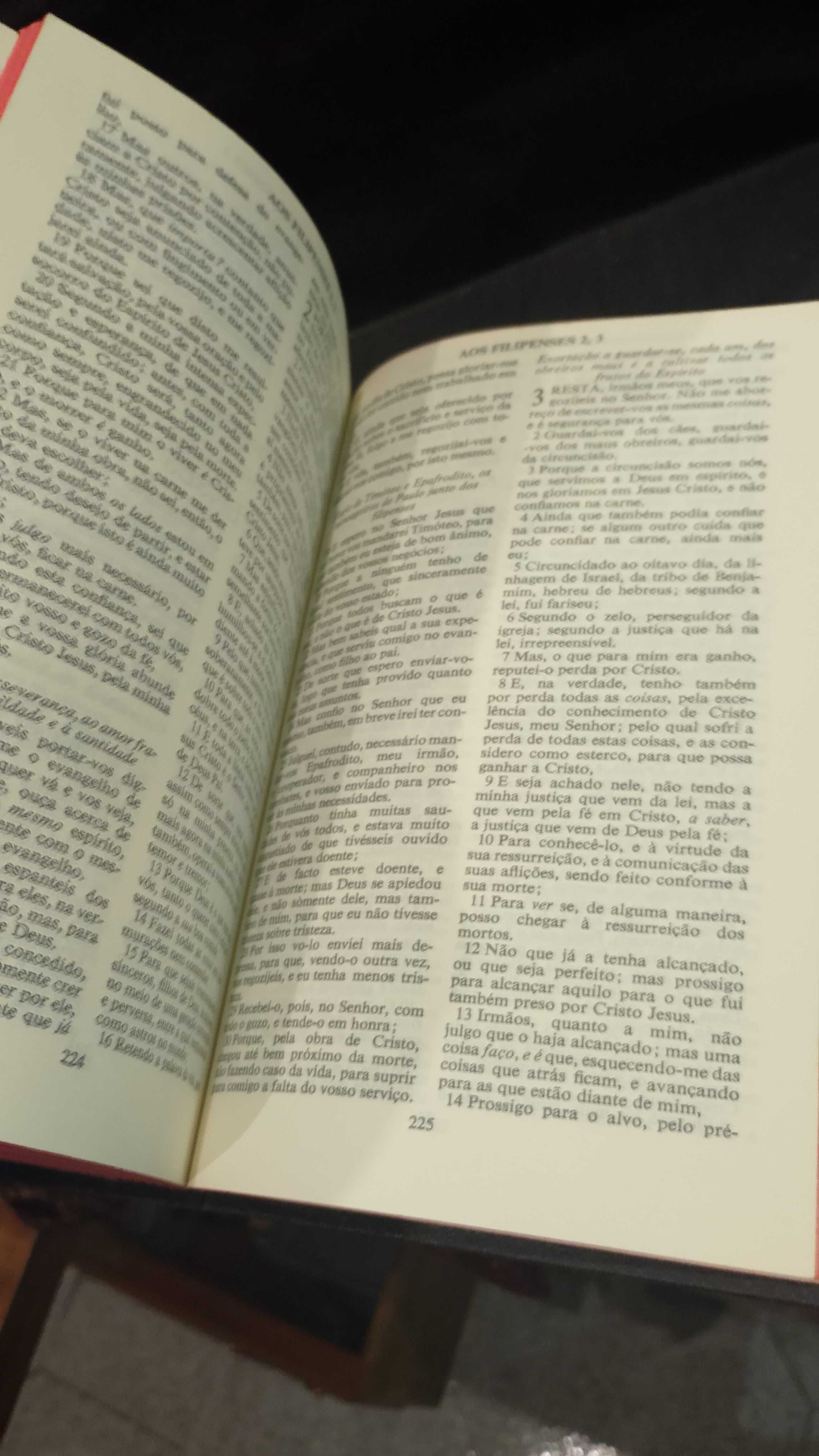 Bíblia Sagrada Velho e novo Testamento