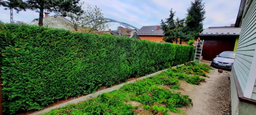 Usługi ogrodnicze, utrzymanie ogrodów, wycinka drzew.