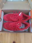 Nike Zoom Hyperspeed court