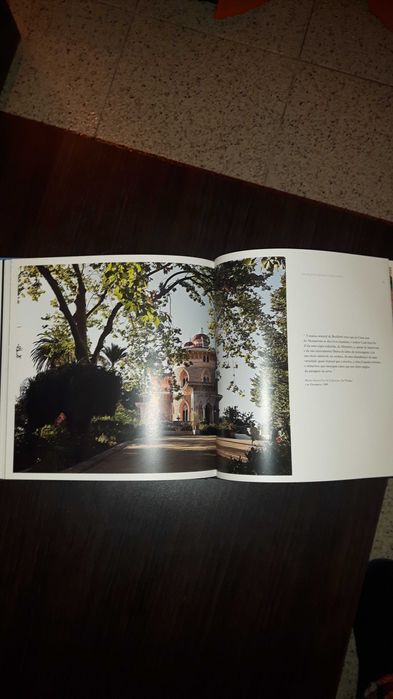 Escrever Sobre Sintra 2010 Livro Margarida Ramalho Giorgio Bordino