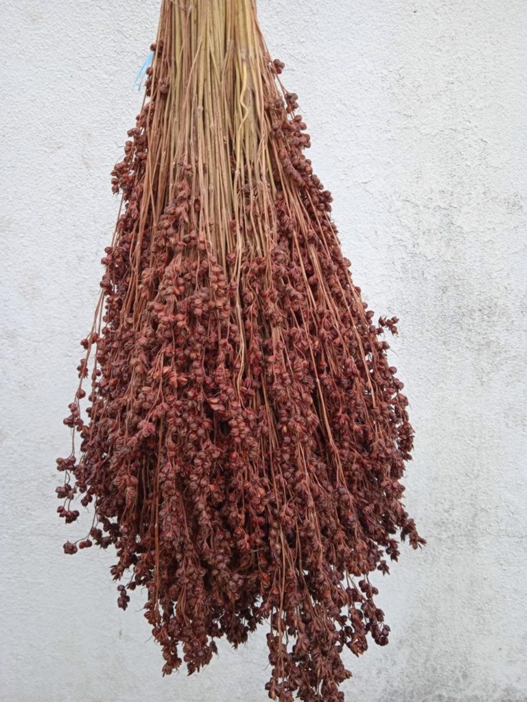 Vendo flores naturais para fazer arranjos