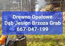Drewno Opał Suche - Kominek Koza Piec