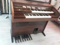 Orgao eko electrico