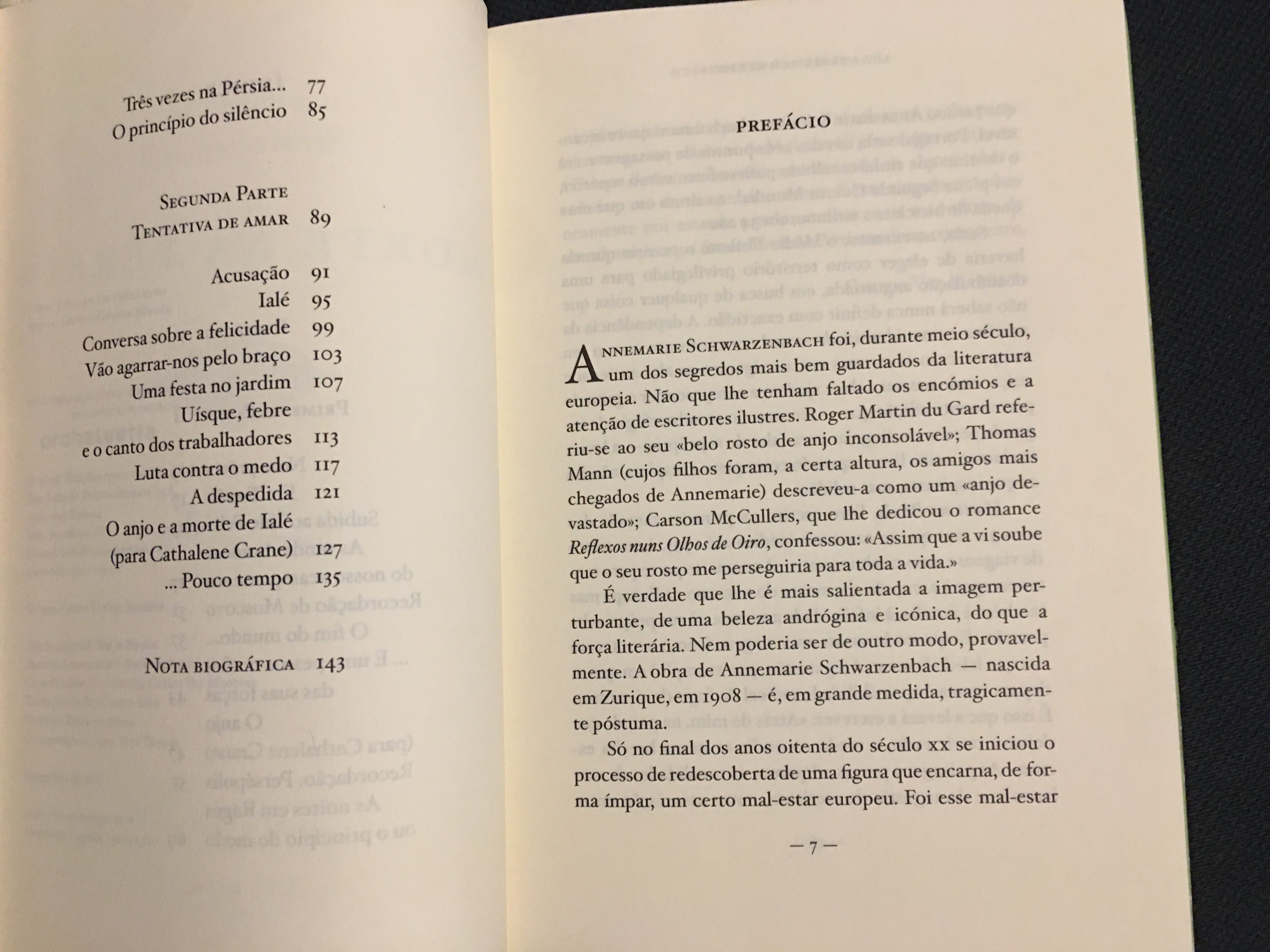 Stig Dagerman/A.  Schwarzenbach/ E. Junger/ G. Sebald /G. Grass