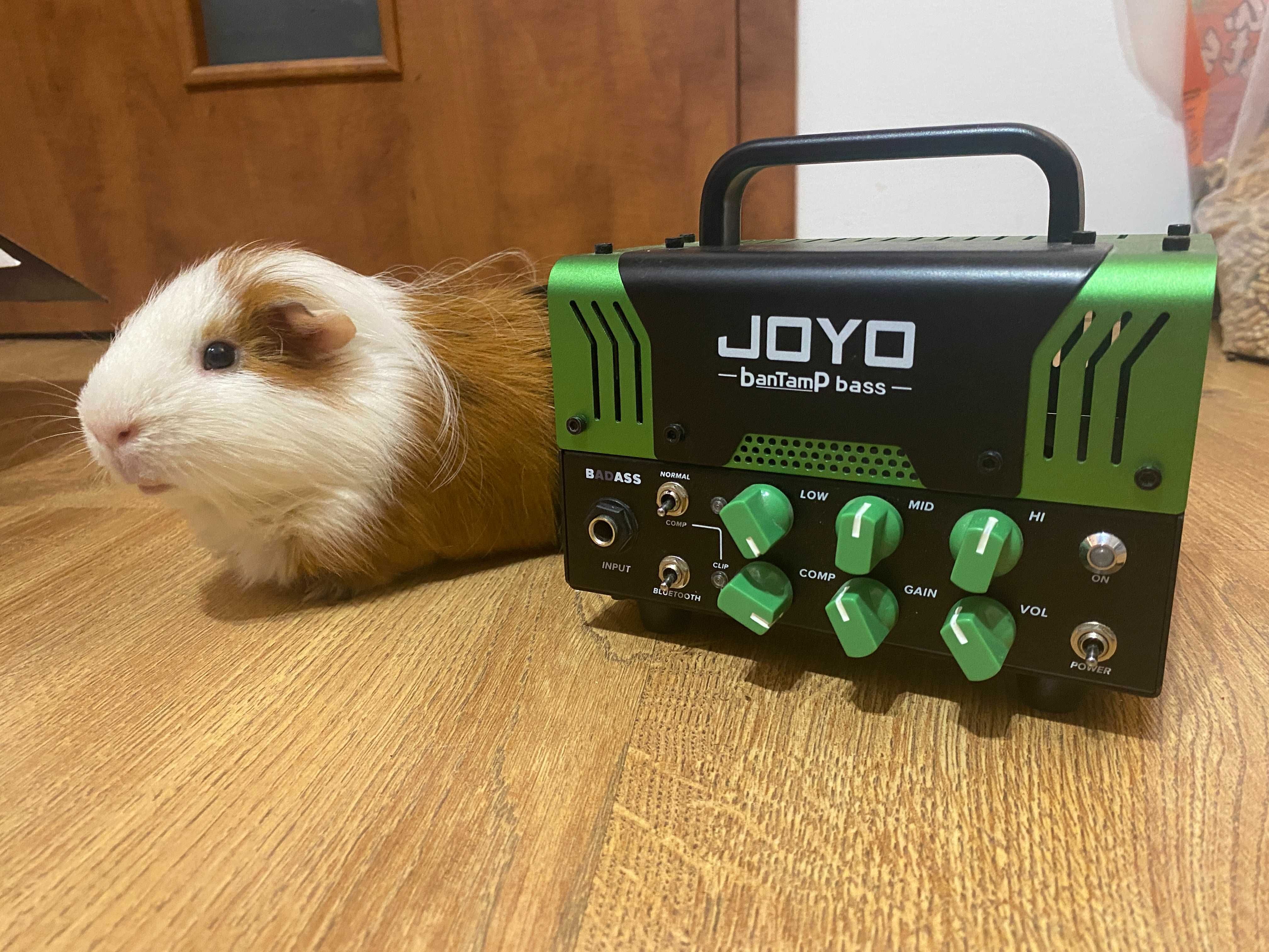 Joyo Bantamp BadAss - wzmacniacz lampowy do basu, head lunchbox