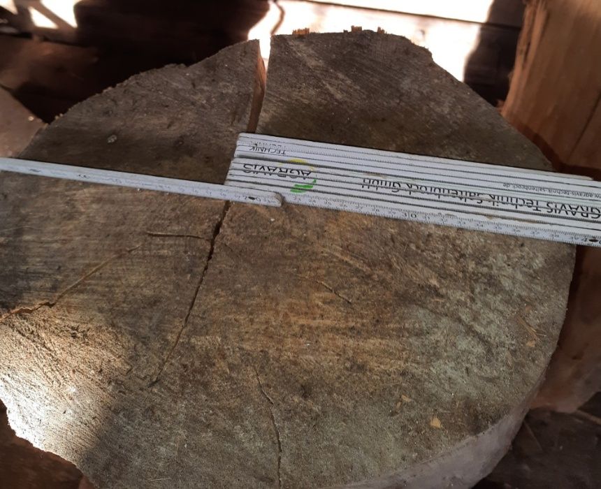 Jesionowy pień drewna o wysokości 35 cm i szerokości 40 cm; suchy