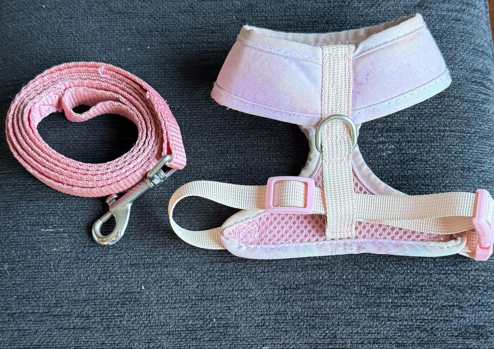 Peitorais com trela xs para cão de porte pequeno.